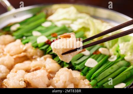 Stile giapponese stufato di carne Foto Stock