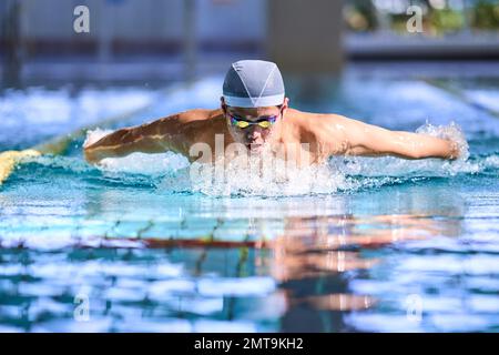 Atleta giapponese che nuota nella piscina coperta Foto Stock