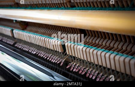 Dettagli del meccanismo a pianoforte gavel - corda, spille e martelli, pianoforte dal 1973 Foto Stock