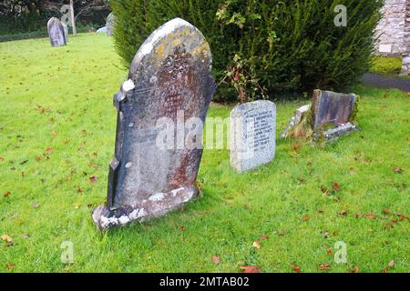 Lapidi nel cimitero di ceramica, Devon, Regno Unito - John Gollop Foto Stock