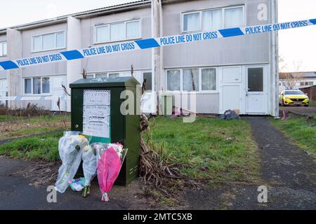 Fiori sulla scena a Broadlands, Netherfield, Milton Keynes, Buckinghamshire, dove una ragazza di quattro anni è morta in seguito a notizie di un attacco di cane nel giardino sul retro di una proprietà. Data immagine: Mercoledì 1 febbraio 2023. Foto Stock