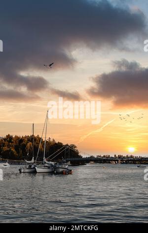 Uno scatto verticale di yacht nelle acque di Oslo durante il tramonto in Norvegia Foto Stock