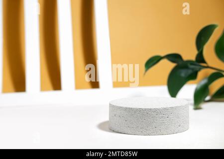 Eco podio cilindrico in cemento lapideo su sfondo bianco beige con coloratissime foglie a rischio, ombre dure al sole, linee geomntriche con ombre. Mini Foto Stock