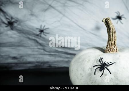 Halloween mistico sfondo scuro. Zucca bianca con una bella coda sullo sfondo di un ciottolo con ragni. Concetto per sfondo Halloween, Foto Stock