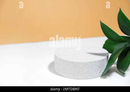 Cilindrico in pietra cemento eco podio su sfondo bianco beige con colorate foglie di risco, ombre dure, nei raggi del sole. Cosmo vuoto minimo Foto Stock