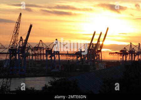 Burchardkai Container Terminal im Hafen Hamburg an der Elbe / Containerbrücke / Containerkran / Portainer / Porralkran Foto Stock