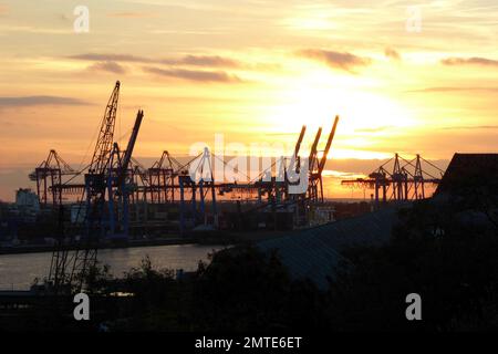 Burchardkai Container Terminal im Hafen Hamburg an der Elbe / Containerbrücke / Containerkran / Portainer / Porralkran Foto Stock