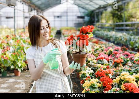 Giovane donna fiorista spruzzando acqua su piante di casa in vasi di fiori da spruzzatore. Foto Stock