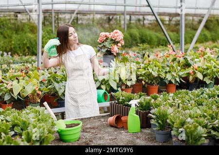 Giovane donna fiorista spruzzando acqua su piante di casa in vasi di fiori da spruzzatore. Foto Stock