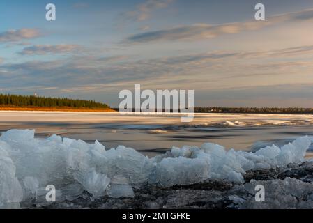 Il ghiaccio di primavera si scioglie vicino alla riva sullo sfondo del movimento del flusso d'acqua con ghiaccio sulla deriva di ghiaccio del fiume nord in Siberia Foto Stock