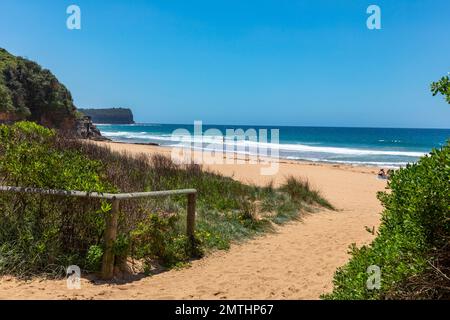 Newport Beach Sydney, spiaggia sulle spiagge settentrionali di Sydney, nuovo Galles del Sud, Australia Foto Stock