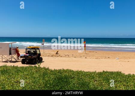 Warriewood Beach Sydney, bagnini di salvataggio surf volontari con Beach buggy su Warriewood Beach, NSW, Australia Foto Stock