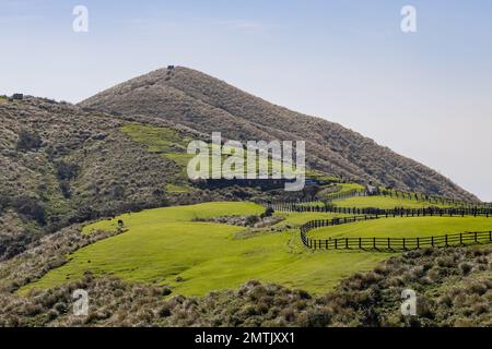 Vista soleggiata del Qingtiangang Grassland a Taipei, Taiwan Foto Stock