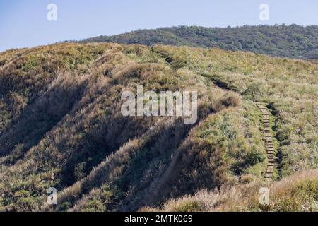 Vista soleggiata del Qingtiangang Grassland a Taipei, Taiwan Foto Stock