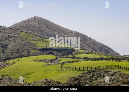 Vista soleggiata del Qingtiangang Grassland a Taipei, Taiwan Foto Stock