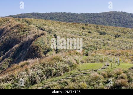 Vista soleggiata del Qingtiangang Grassland a Taipei, Taiwan Foto Stock