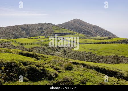 Vista soleggiata del Qingtiangang Grassland a Taipei, Taiwan Foto Stock