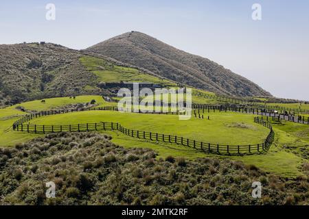 Vista soleggiata del Qingtiangang Grassland a Taipei, Taiwan Foto Stock