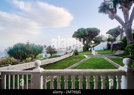 Vista generale dalla ringhiera di un appartamento di vacanza e sullo sfondo un piccolo gruppo di alberi di drago nella città di Tacoronte a Tenerife, Canarie Foto Stock