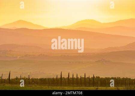 Tramonto sul paesaggio ondulato Foto Stock