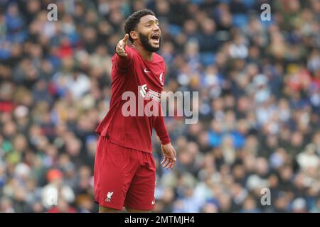 Joe Gomez in azione per Liverpool contro Brighton & Hove Albion allo stadio AMEX Foto Stock