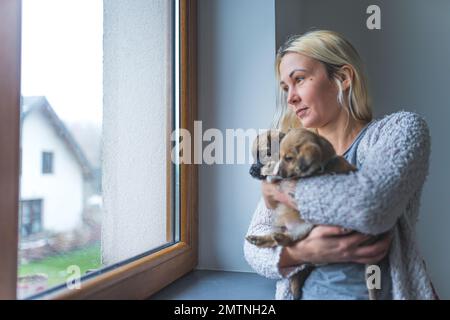Donna fiduciosa che tiene un mazzo di cuccioli di cane davanti alla finestra. Foto di alta qualità Foto Stock