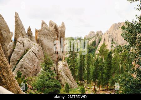 Enormi colonne rocciose e alberi verdi in una valle lungo l'autostrada Needles in un paesaggio estivo del South Dakota Foto Stock