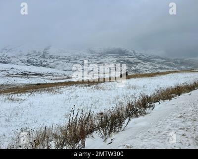 Gilles Bader / le Pictorium - il corridoio Latchine - 31/1/2023 - Armenia / Latchin / Latchin - il corridoio Latchine, l'unica strada che collega l'Armenia al Nagorno-Karabakh, è tagliato fuori, lasciando il Nagorno-Karabakh completamente senza sbocco sul mare e senza rifornimenti... Foto Stock