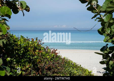 Vista attraverso cespugli da un sentiero che conduce alla spiaggia di Varadero, Cuba Foto Stock