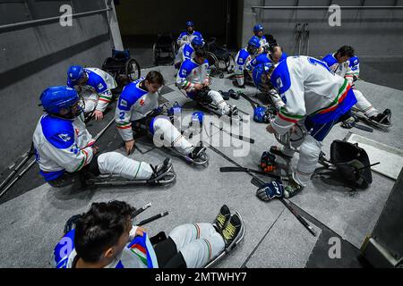 Torino, Italia, Italia. 27th Jan, 2023. Italia, Torino 27 dicembre 2023 PalaTazzoli.10th Torneo Internazionale di Hockey su ghiaccio Para di Torino 2023 .Semifinale : Italia vs Norvegia 2-3.Italian Team (Credit Image: © Tonello Abozzi/Pacific Press via ZUMA Press Wire) SOLO PER USO EDITORIALE! Non per USO commerciale! Foto Stock