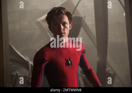 Spider-Man: Homecoming anno : 2017 USA regista : Jon Watts Tom Holland Foto Stock