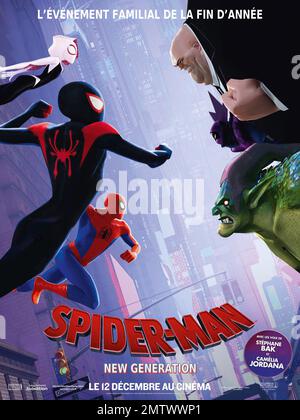 Spider-Man: Into the Spider-Verse anno : 2018 USA regista : Bob Persichetti, Peter Ramsey, Rodney Rothman Animation poster francese Foto Stock