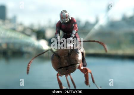 ANT-Man e il Wasp anno : 2018 USA regista : Peyton Reed Paul Rudd Foto Stock