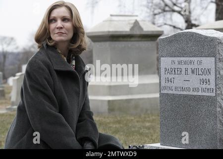 Hachi: Storia di un cane anno : 2009 USA regista : Lasse Hallström Joan Allen Foto Stock