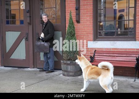 Hachi: Storia di un cane anno : 2009 USA regista : Lasse Hallström Richard Gere Foto Stock