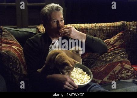 Hachi: Storia di un cane anno : 2009 USA regista : Lasse Hallström Richard Gere Foto Stock