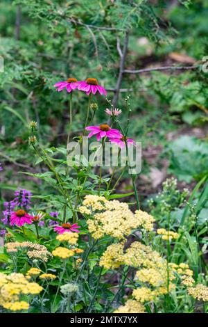 Casa in stile Cotage con giardino inglese cottage design, Brownsburg, Quebec, Canada Foto Stock