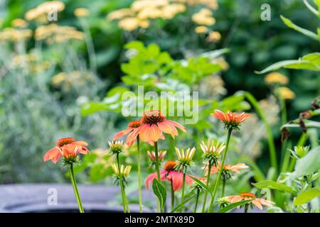 Casa in stile Cotage con giardino inglese cottage design, Brownsburg, Quebec, Canada Foto Stock