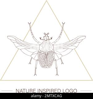 Vettore mano disegnata coleottero tropicale goliath con ali in un triangolo. Logo a tema di insetto per naturale Illustrazione Vettoriale