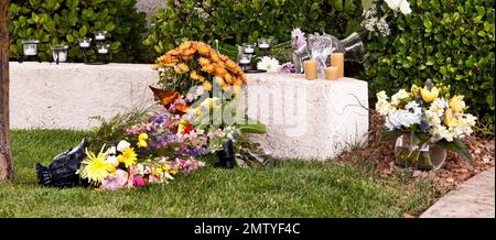 Viste esterne del leggendario attore Tony Curtis' Henderson, Nevada, dove è morto da un arresto cardiaco il 29th settembre. Alcuni vasi e fiori sono stati collocati sul prato anteriore della modesta casa suburbana. Curtis, padre dell'attrice hollywoodiana Jamie Lee Curtis, ha recitato nei film classici di Hollywood 'Some Like IT Hot' e 'Spartacus', ma tragicamente è caduto nell'oscurità dopo aver sofferto di alcolismo e tossicodipendenza. La famiglia di Curtis terrà il suo funerale il 4th ottobre presso il Palm Memorial Park Cemetery di Green Valley, Nevada. Henderson, Nevada. 10/02/10. . Foto Stock