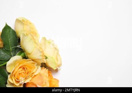 Composizione con splendidi fiori su sfondo bianco, vista dall'alto. Disegno floreale della scheda Foto Stock