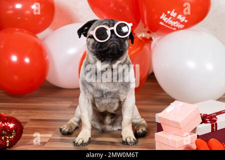 Un divertente fresco boccale con bicchieri celebra San Valentino tra palline rosse e bianche con un mazzo di regali. Animali domestici e festivi. Foto Stock