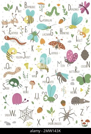 Alfabeto Woodland per bambini. Grazioso appartamento ABC con insetti della foresta. Layout verticale divertente poster per insegnare la lettura su sfondo bianco. Illustrazione Vettoriale