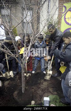 L'attore Wilmer Valderrama, protagonista della serie multiculturale "Handy Manny" di Disney Channel, si unisce al personaggio di Manny e ai bambini della Earth School di New York City per piantare un albero per la Giornata della Terra nel Giardino della generazione X sul Lower East Side di Manhattan. Nella serie di successo, Valderrama fornisce la voce al manipolo Manny Garcia, un giovane giovane disponibile e determinato che, con l'aiuto del suo eclettico set di strumenti di conversazione, è l'esperto della città quando si tratta di riparare tutto ciò che non funziona, anche le amicizie tra i vicini. New York, NY. 4/15/09. . . Foto Stock