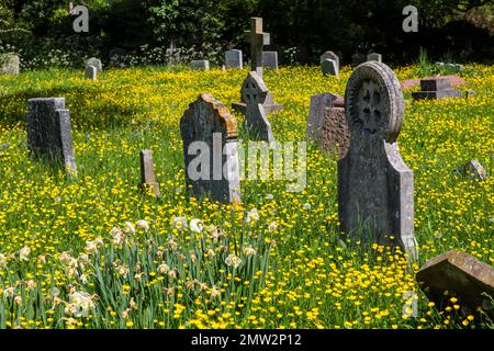 Cimitero di Springime Foto Stock