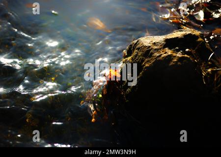 Un primo piano di onde d'acqua fluenti Foto Stock