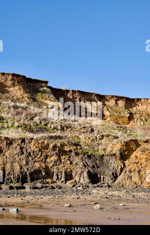 Le scogliere al Naze che sono erose dall'azione marea del mare. Foto Stock