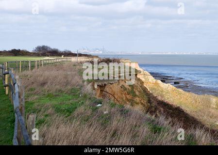 Le scogliere al Naze che sono erose dall'azione marea del mare. Foto Stock