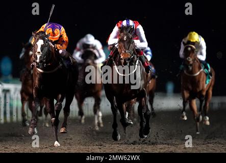 Positivo guidato dal jockey Adam Kirby vince l'Unibet 3 Uniboosts a Day handicap con il comandante Navale guidato dal jockey Kieran o'Neill (a sinistra) secondo al Kempton Park Racecourse, Sunbury-on-Thames, Surrey. Data immagine: Mercoledì 1 febbraio 2023. Foto Stock