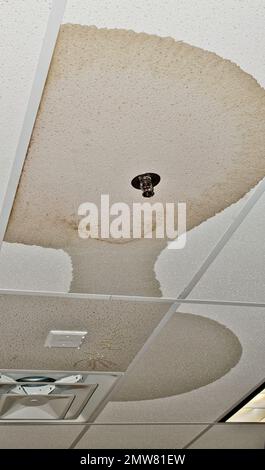 Danni al soffitto causati da una perdita nel tubo dell'acqua in un soffitto interno da un impianto sprinkler antincendio difettoso. Foto Stock
